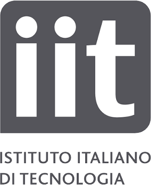 IIt